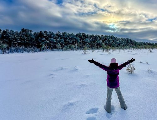 Järgne elule, mitte ideele õigest minast